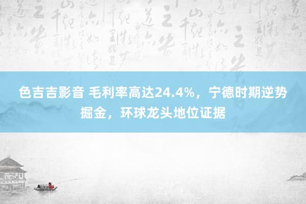 色吉吉影音 毛利率高达24.4%，宁德时期逆势掘金，环球龙头地位证据