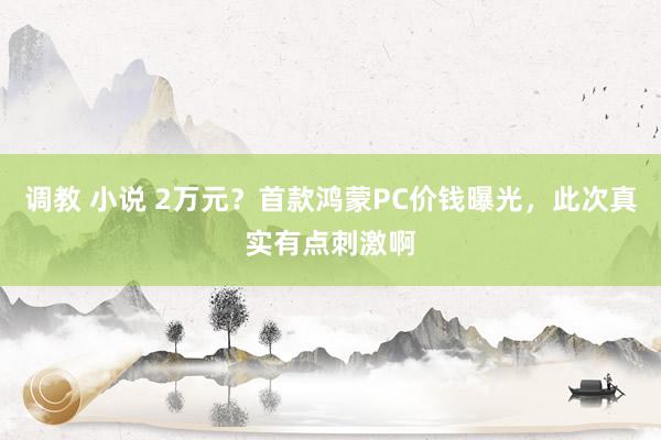调教 小说 2万元？首款鸿蒙PC价钱曝光，此次真实有点刺激啊