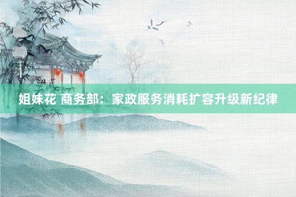 姐妹花 商务部：家政服务消耗扩容升级新纪律