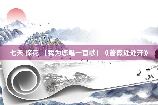 七天 探花 【我为您唱一首歌】《蔷薇处处开》