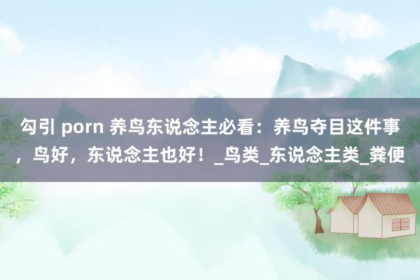 勾引 porn 养鸟东说念主必看：养鸟夺目这件事，鸟好，东说念主也好！_鸟类_东说念主类_粪便