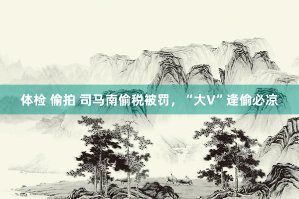 体检 偷拍 司马南偷税被罚，“大V”逢偷必凉