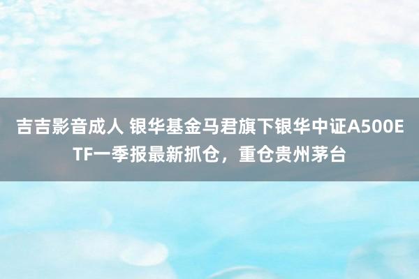 吉吉影音成人 银华基金马君旗下银华中证A500ETF一季报最新抓仓，重仓贵州茅台