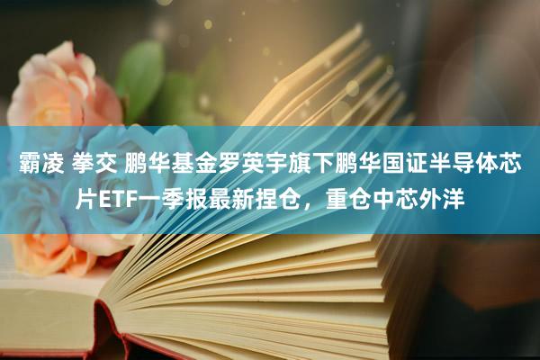 霸凌 拳交 鹏华基金罗英宇旗下鹏华国证半导体芯片ETF一季报最新捏仓，重仓中芯外洋