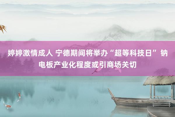 婷婷激情成人 宁德期间将举办“超等科技日” 钠电板产业化程度或引商场关切