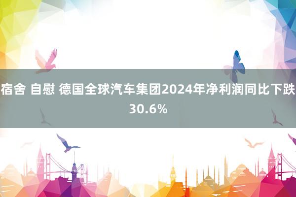 宿舍 自慰 德国全球汽车集团2024年净利润同比下跌30.6%