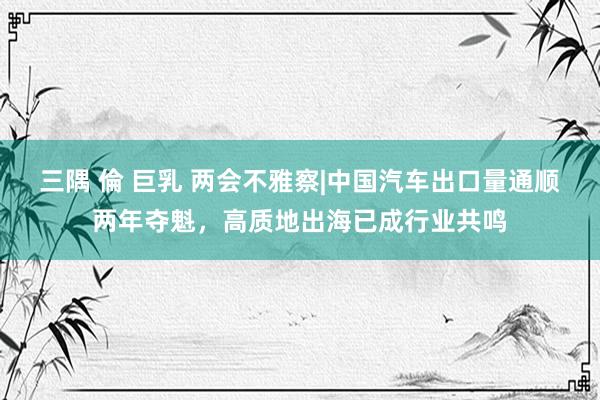 三隅 倫 巨乳 两会不雅察|中国汽车出口量通顺两年夺魁，高质地出海已成行业共鸣