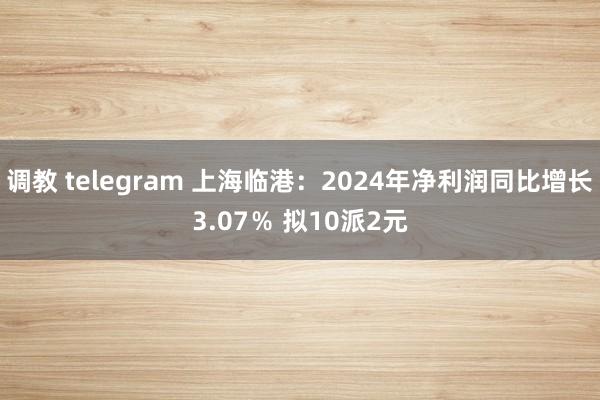 调教 telegram 上海临港：2024年净利润同比增长3.07％ 拟10派2元