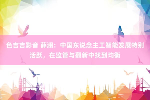 色吉吉影音 薛澜：中国东说念主工智能发展特别活跃，在监管与翻新中找到均衡