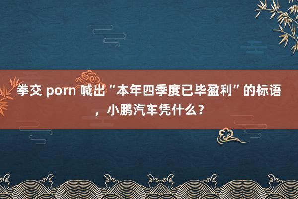 拳交 porn 喊出“本年四季度已毕盈利”的标语，小鹏汽车凭什么？