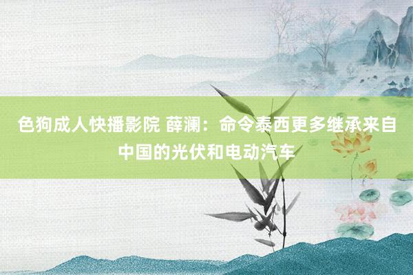 色狗成人快播影院 薛澜：命令泰西更多继承来自中国的光伏和电动汽车