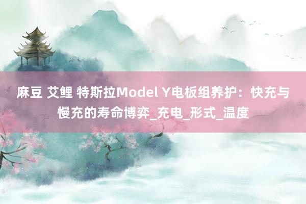 麻豆 艾鲤 特斯拉Model Y电板组养护：快充与慢充的寿命博弈_充电_形式_温度