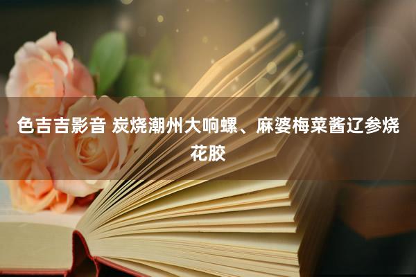色吉吉影音 炭烧潮州大响螺、麻婆梅菜酱辽参烧花胶