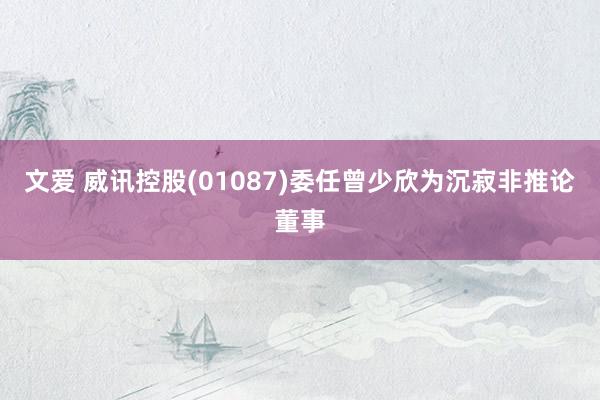文爱 威讯控股(01087)委任曾少欣为沉寂非推论董事