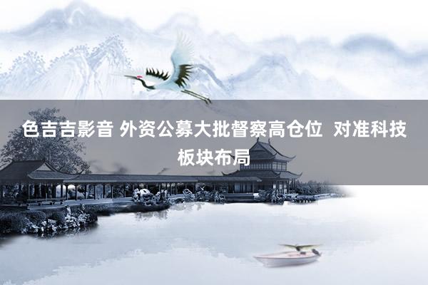 色吉吉影音 外资公募大批督察高仓位  对准科技板块布局