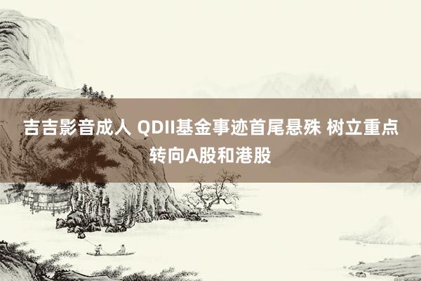 吉吉影音成人 QDII基金事迹首尾悬殊 树立重点转向A股和港股