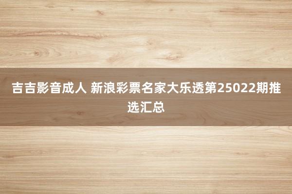 吉吉影音成人 新浪彩票名家大乐透第25022期推选汇总