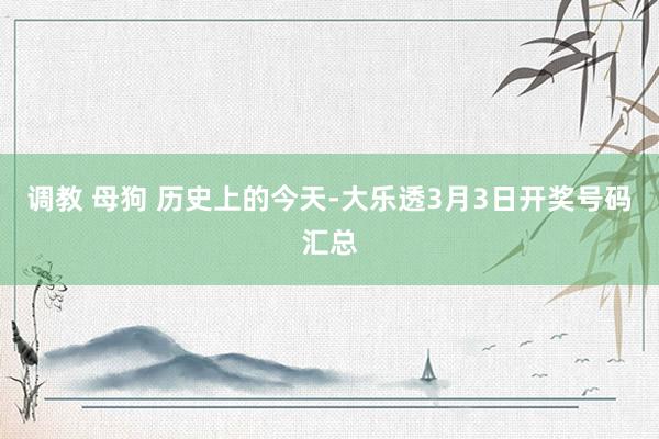 调教 母狗 历史上的今天-大乐透3月3日开奖号码汇总