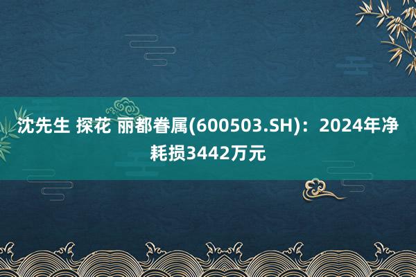 沈先生 探花 丽都眷属(600503.SH)：2024年净耗损3442万元