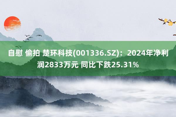 自慰 偷拍 楚环科技(001336.SZ)：2024年净利润2833万元 同比下跌25.31%