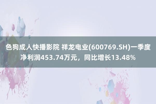 色狗成人快播影院 祥龙电业(600769.SH)一季度净利润453.74万元，同比增长13.48%