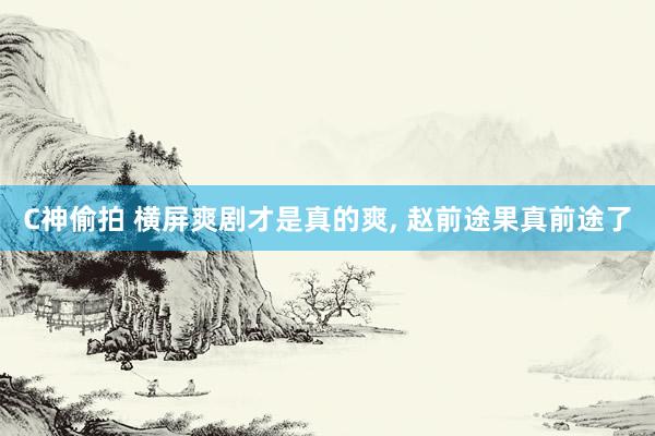 C神偷拍 横屏爽剧才是真的爽， 赵前途果真前途了